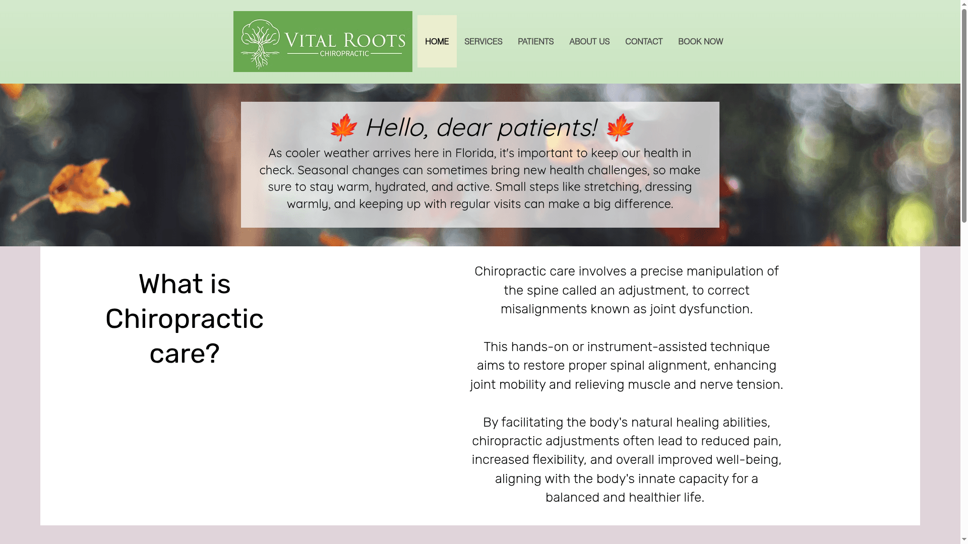 Vital Roots Functional Medicine website