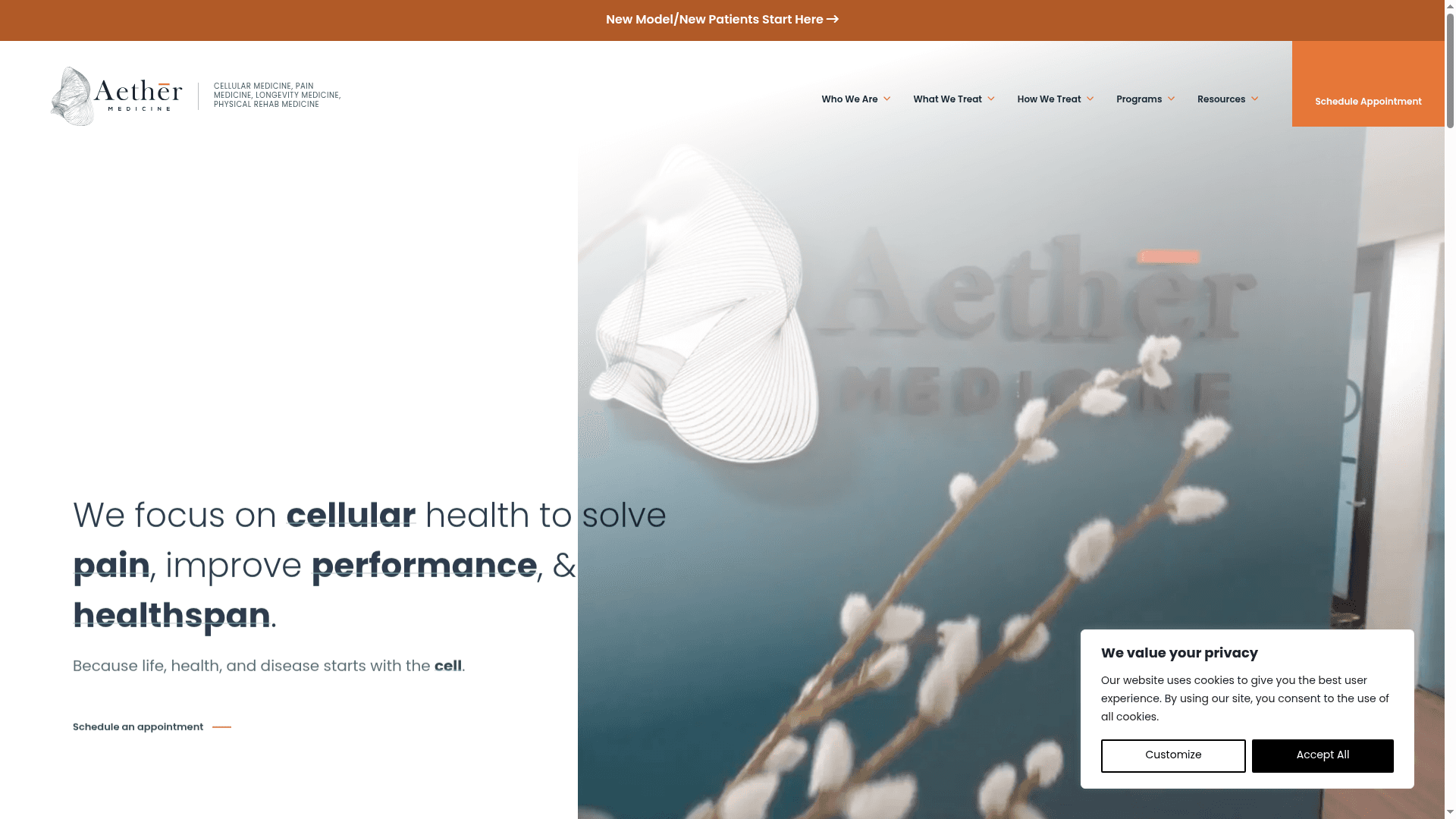 Aether Medicine website