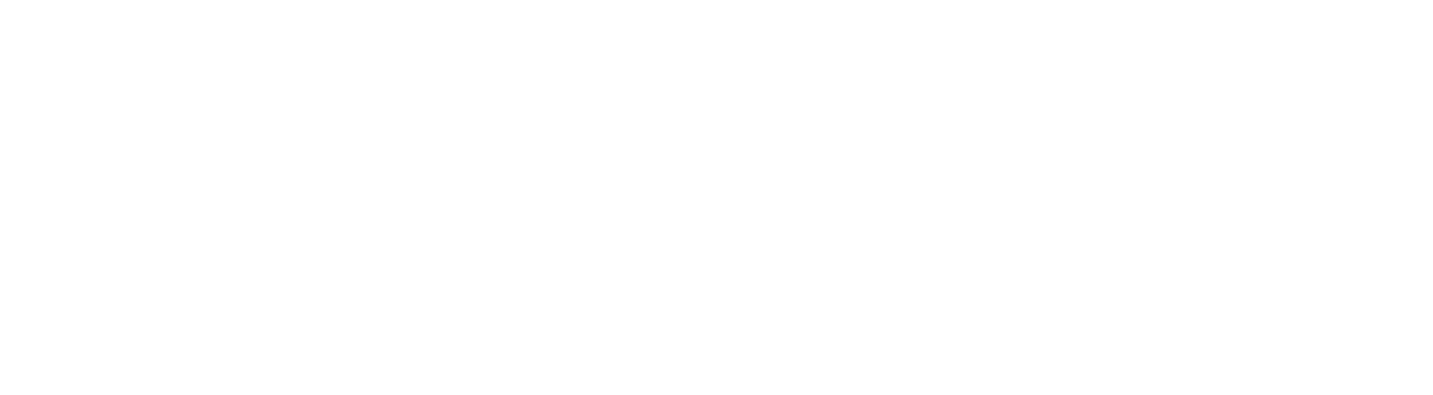 Joy Wellness Partners
