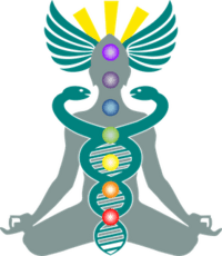 Integrative Wellness Fx