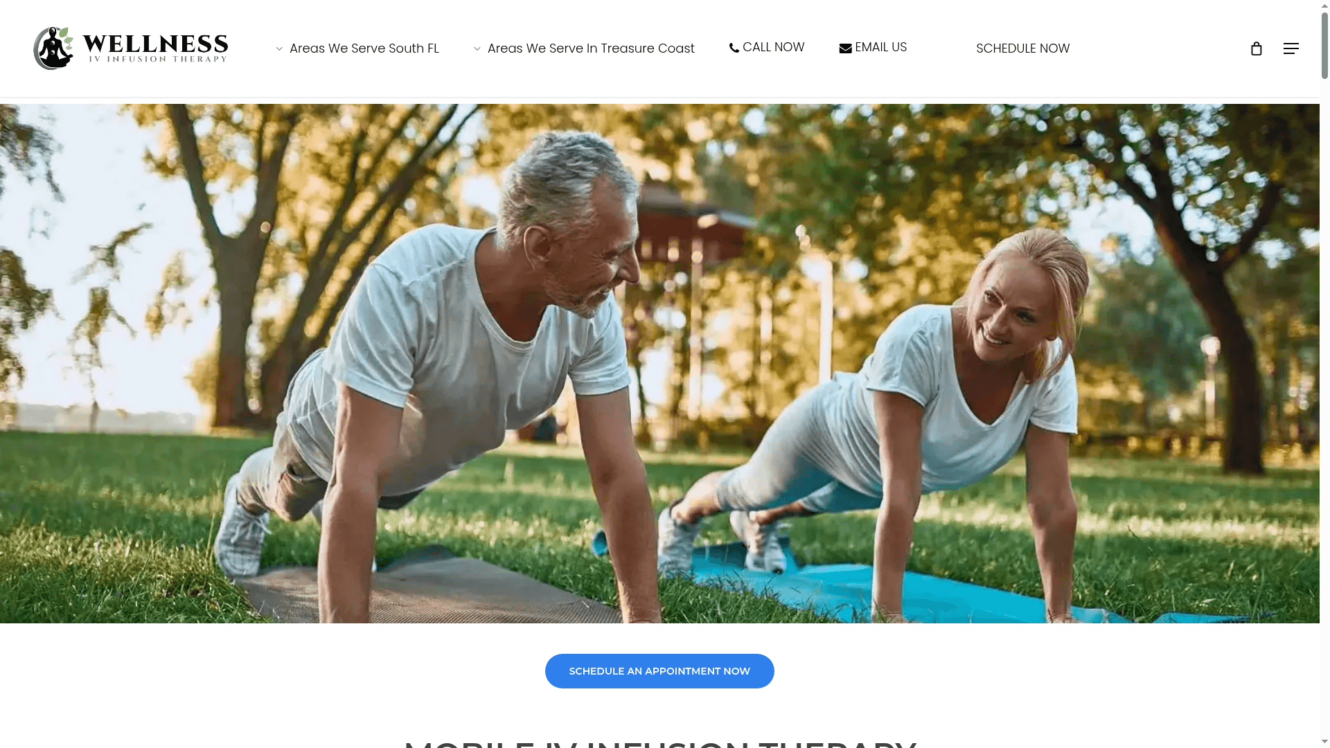 Wellness Iv Infusion Therapy website