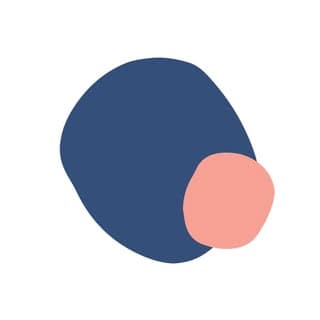 Paloma Health
