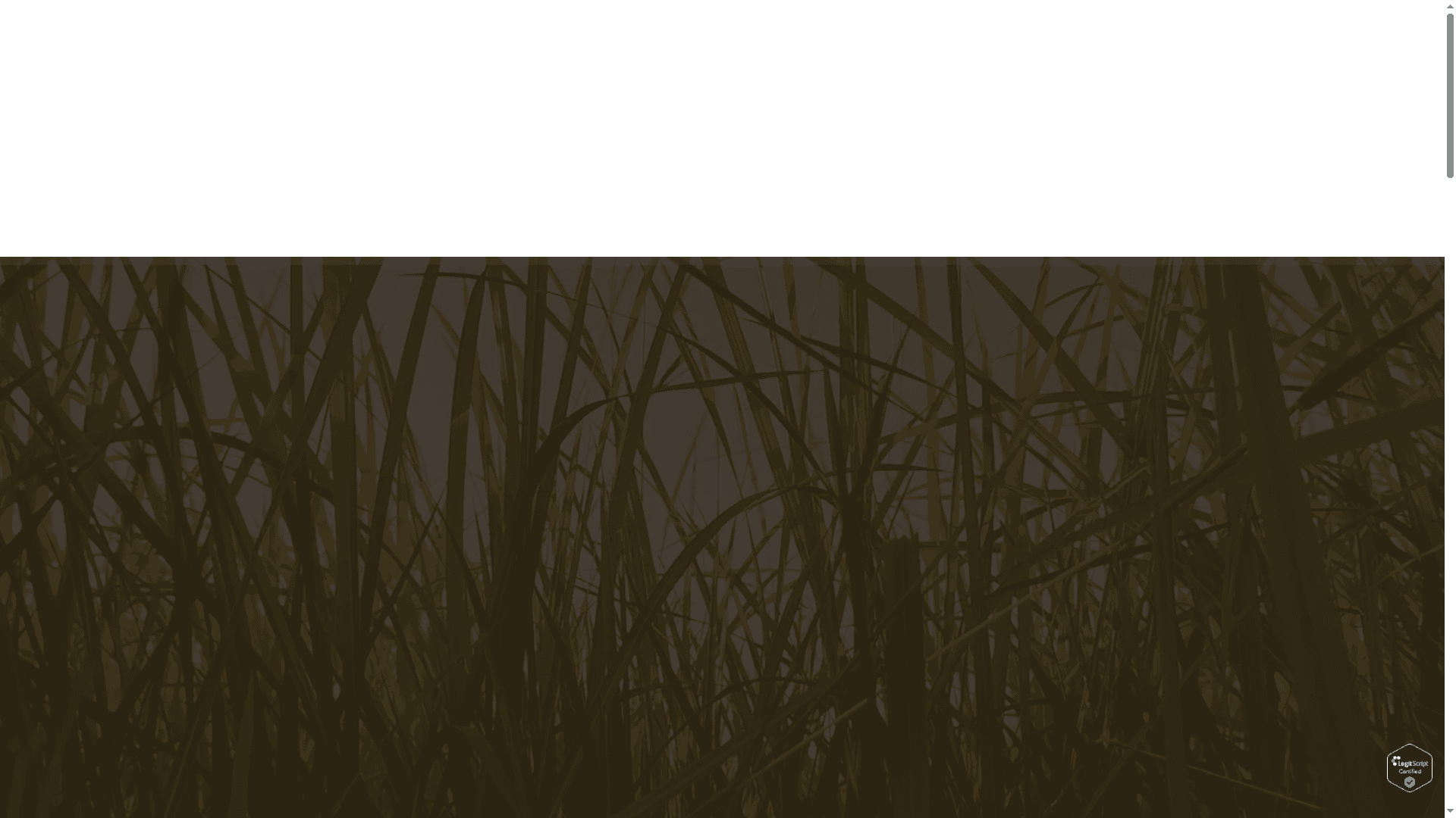 Sweetgrass Pharmacy website