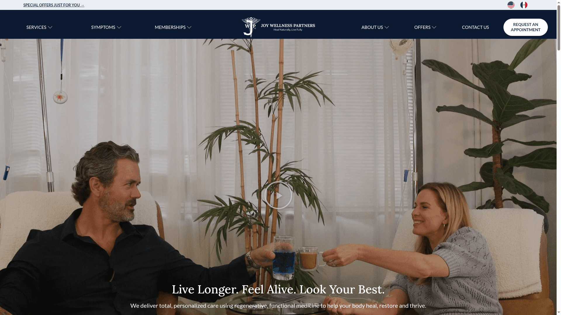 Joy Wellness Partners website